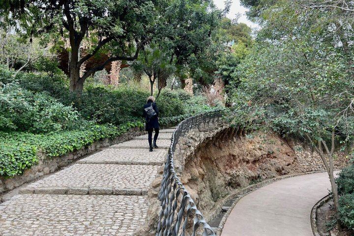 Park Güell for a group of six: the garden city that was never built (9/12)