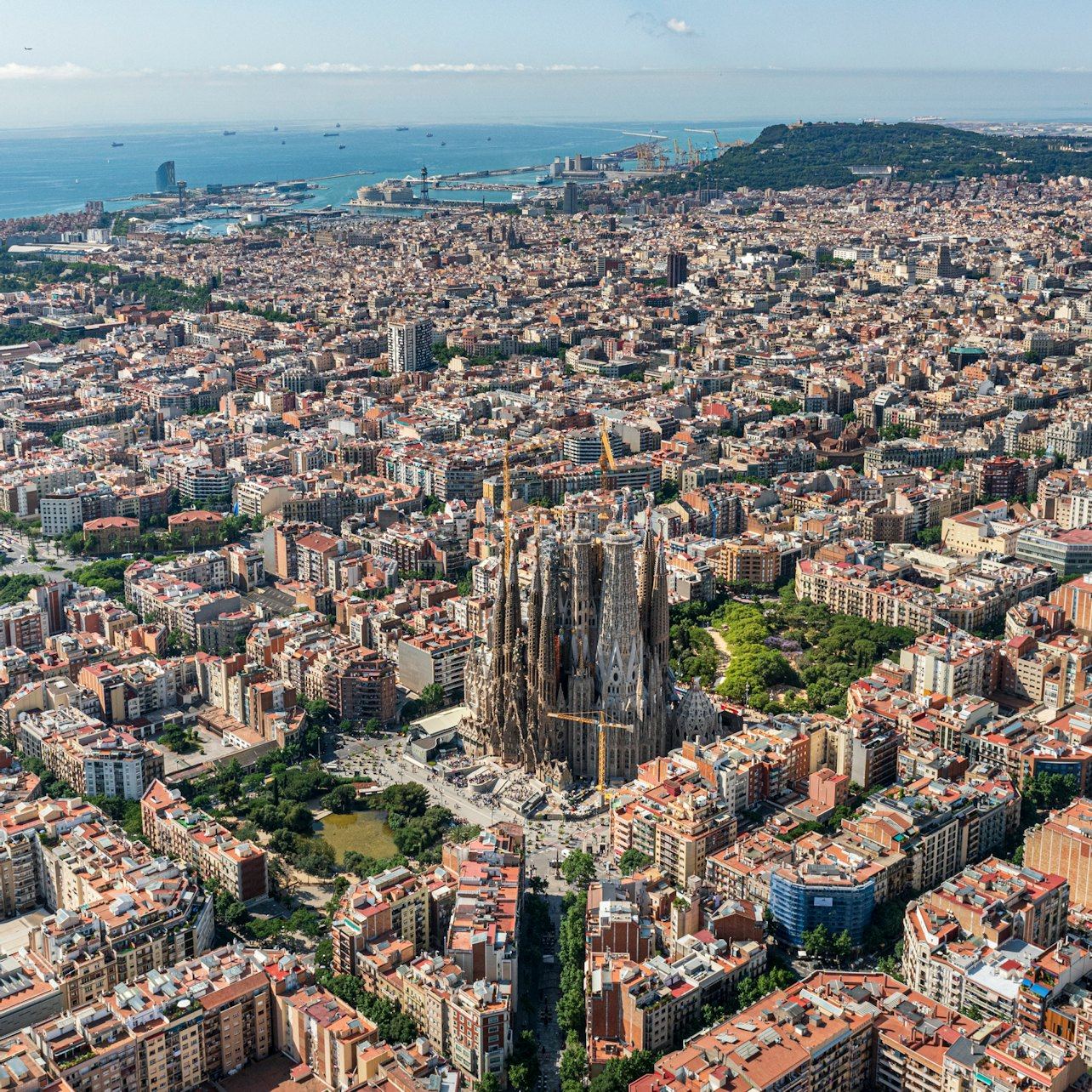 Sagrada Família with quick access and optional tower visit (12/12)