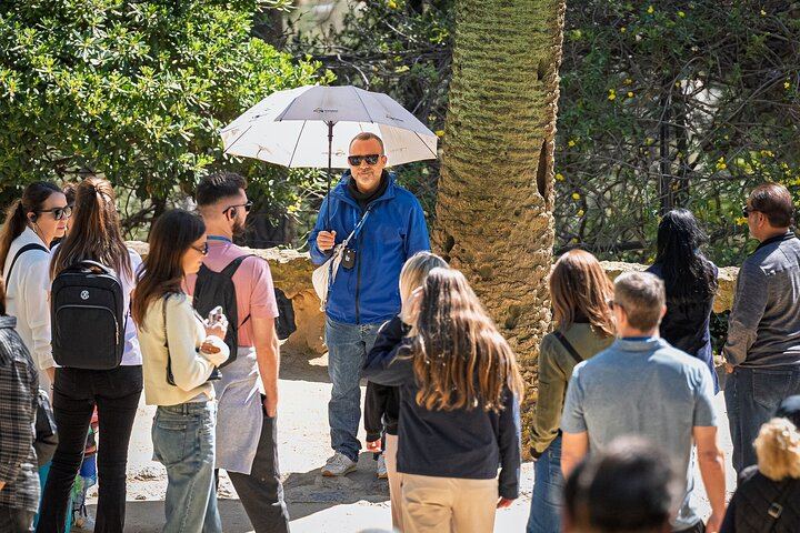 Tour sin colas por el Parque Güell en Barcelona