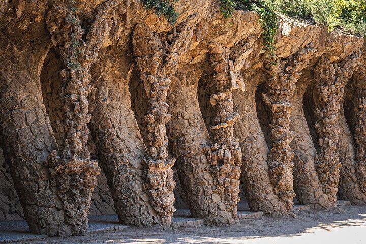Tour sin colas por el Parque Güell en Barcelona