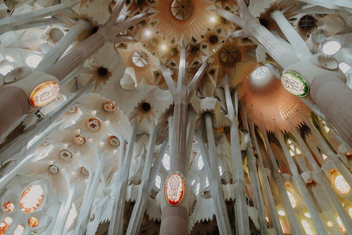 Visita Guiada Sagrada Familia y Parque Güell