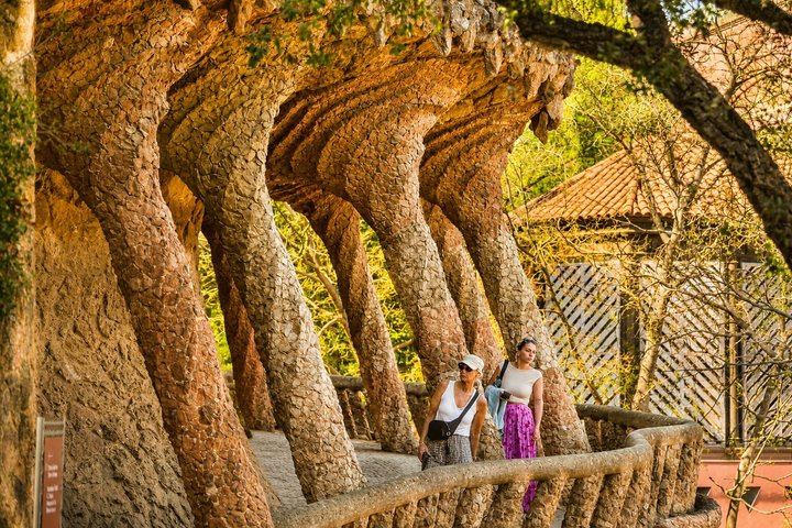 Visita guiada sin colas al Parque Güell en Barcelona